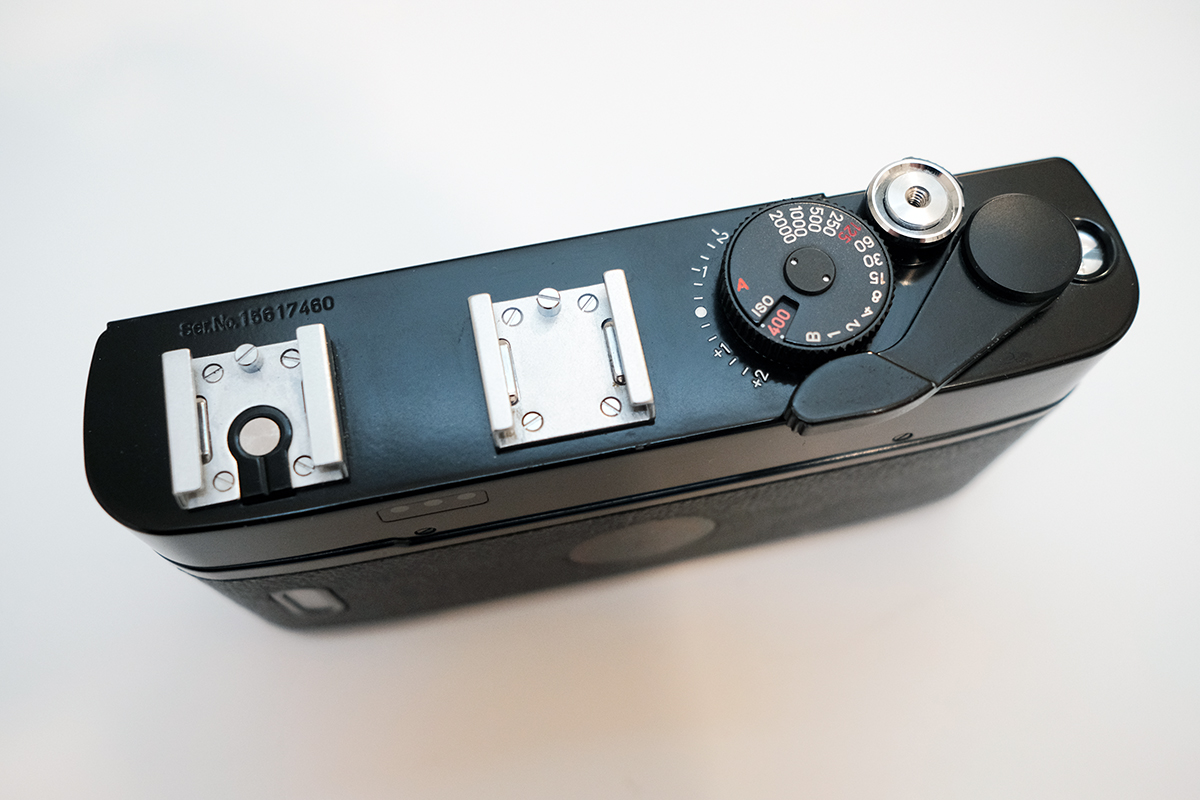 PRO15711.JPG