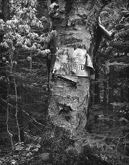 Prohibited 1.jpg