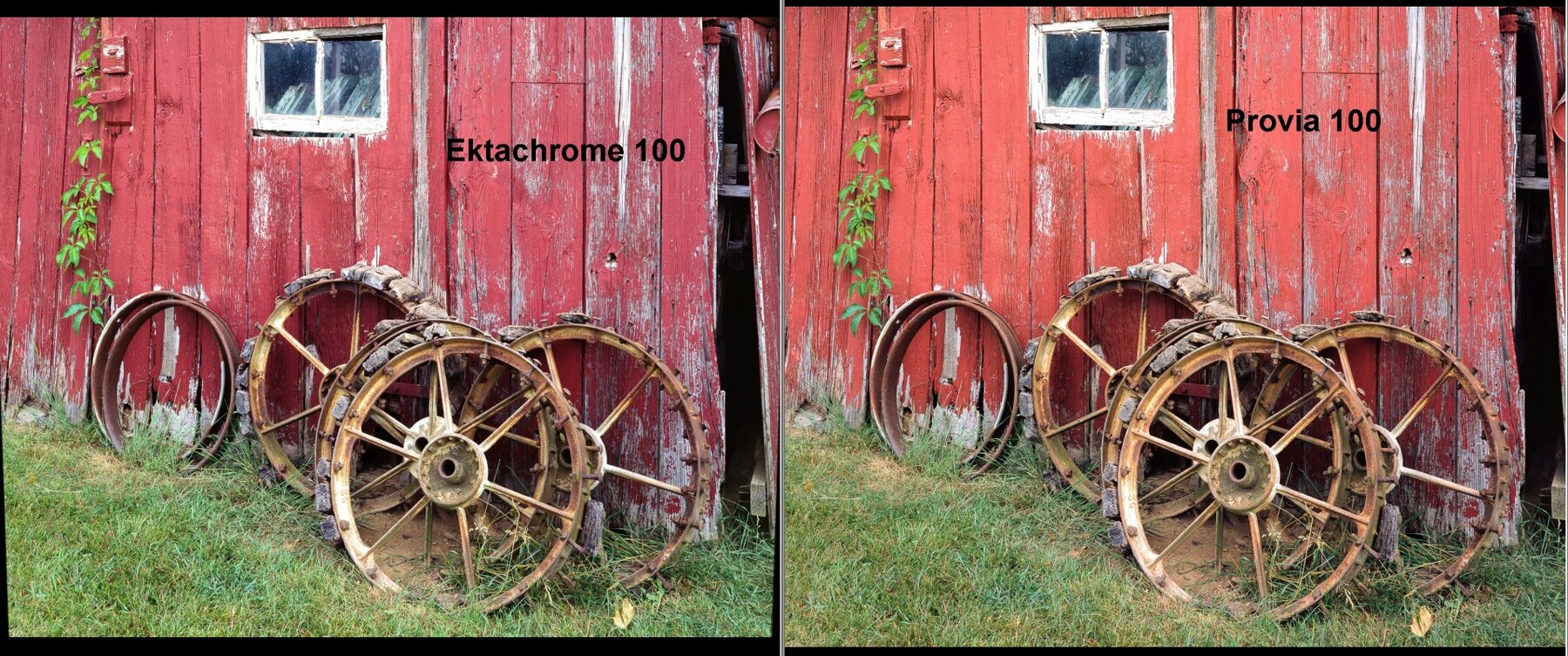 Provia ektachrome dual from V850 scan and LR.jpg