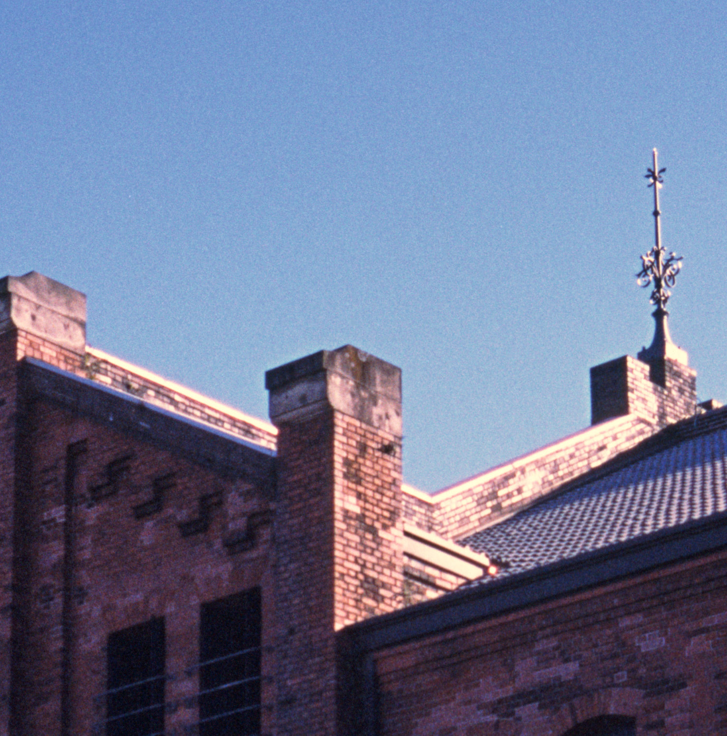 Provia1_Crop.jpg