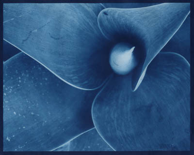 ps_cc_6002.jpg