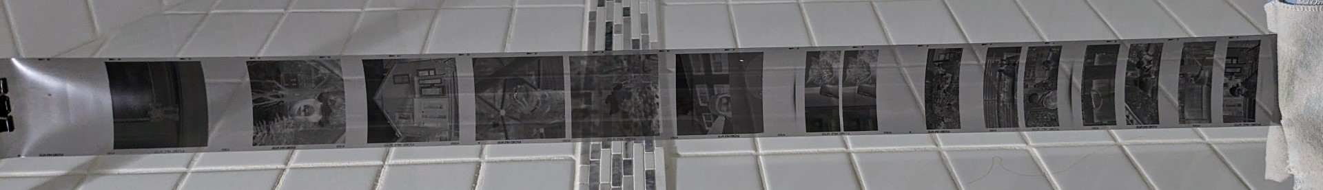 PXL_20240421_195830411.jpg