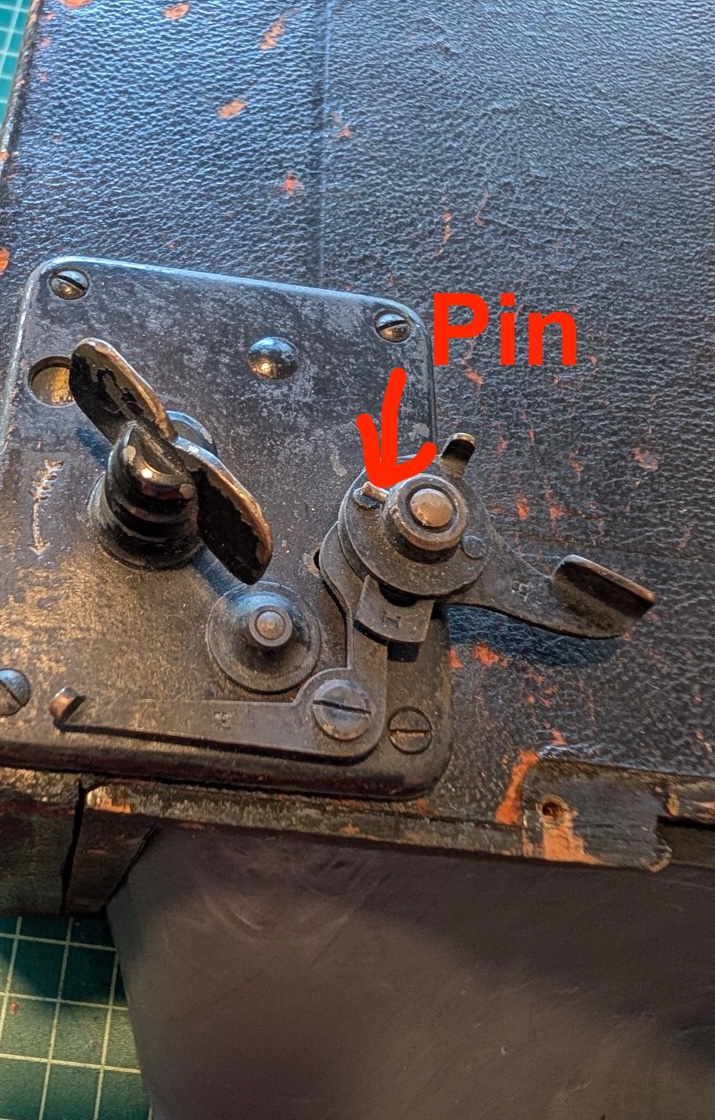 PXL_20251103_214102291.RAW-01.MP.COVER Large.jpeg