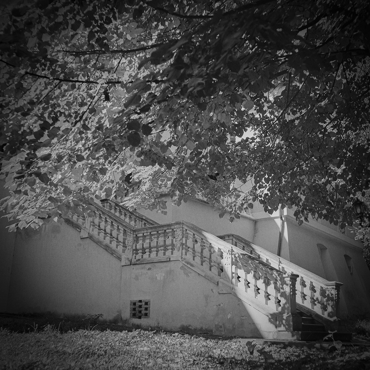 R-D400-oct21-07-1200.jpg