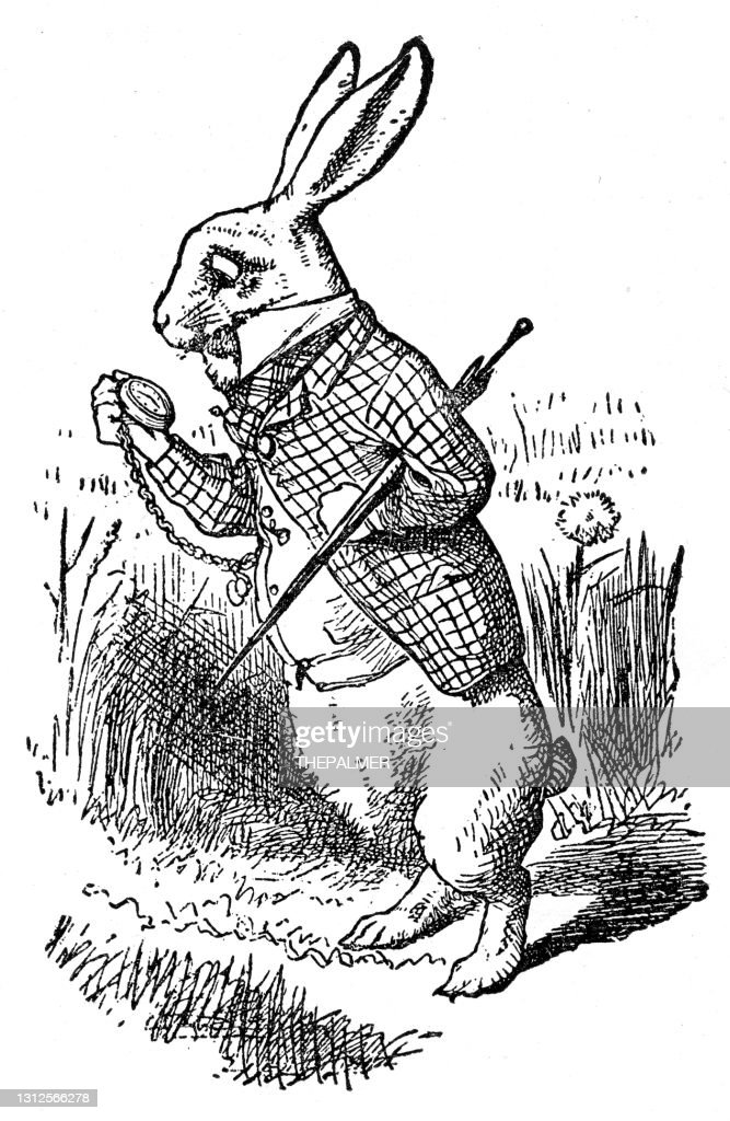 rabbit.jpg