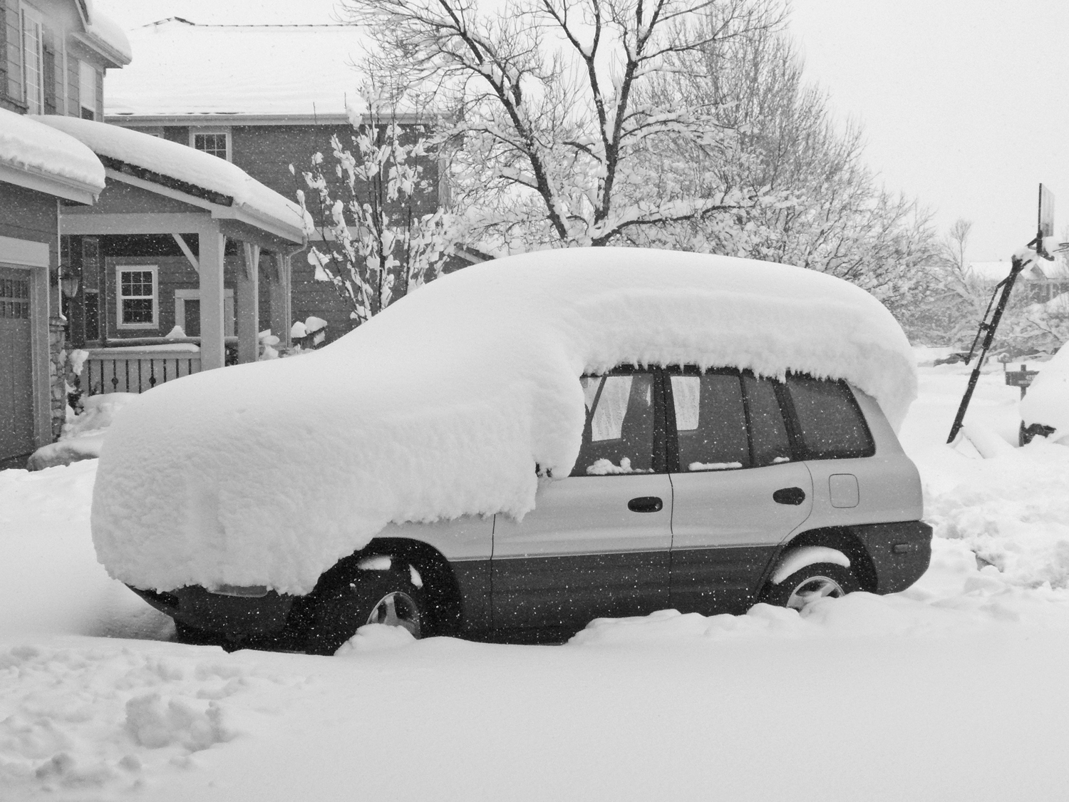 RAV240314.jpg