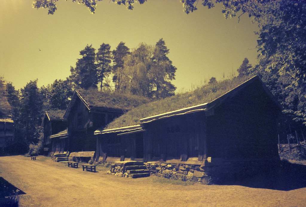 raw0001-pos_1024.jpg