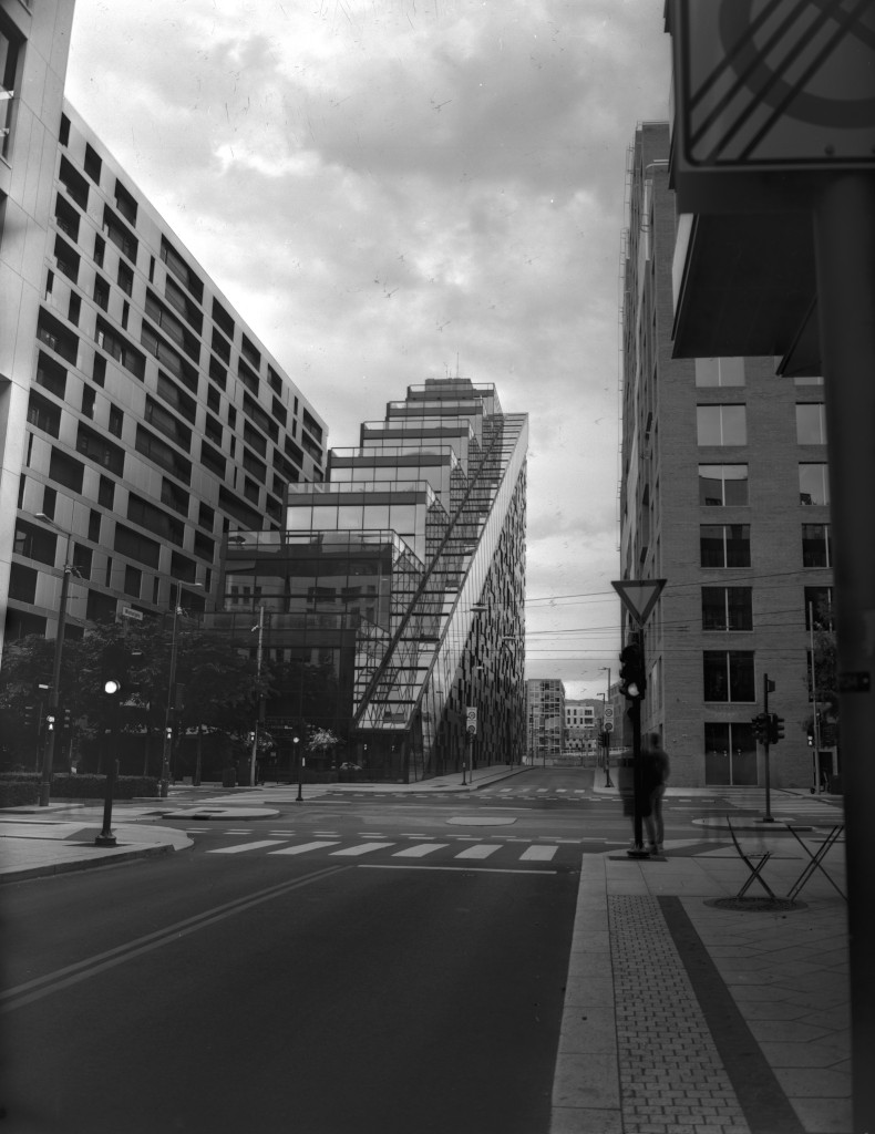 raw0001-pos_1024.jpg