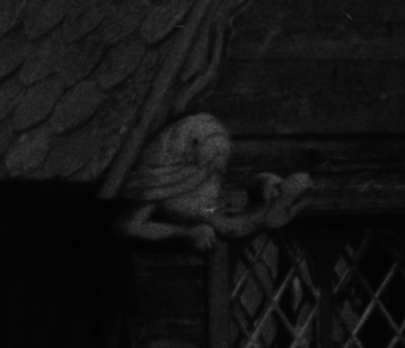 raw0001_6400dpi_på_glassplate-pos_detajl_1_100%.png