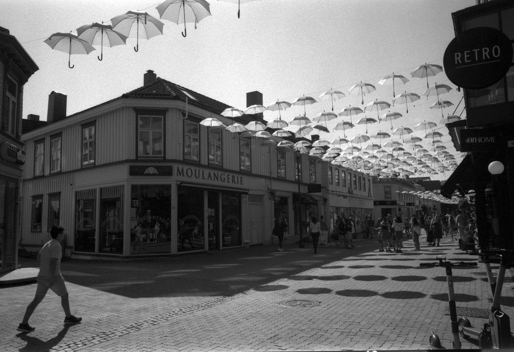 raw0003-1024.jpg