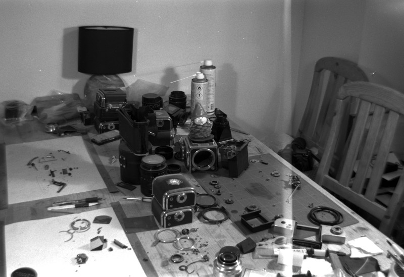 raw0006_800.jpg