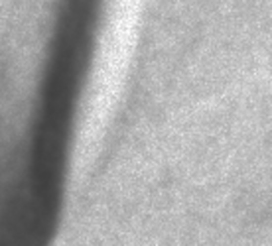 raw0006_detajl.jpg