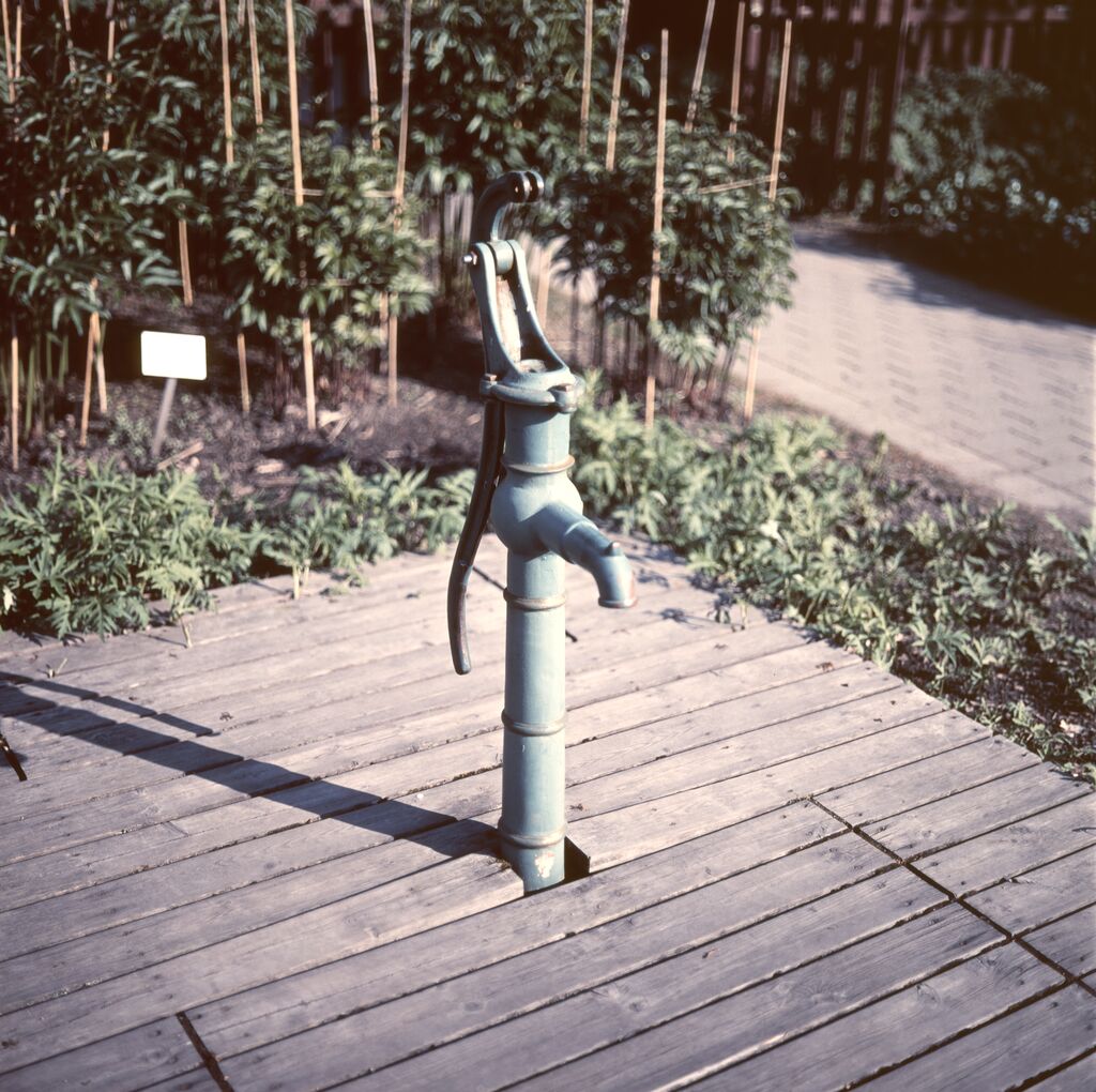 raw0010.jpg