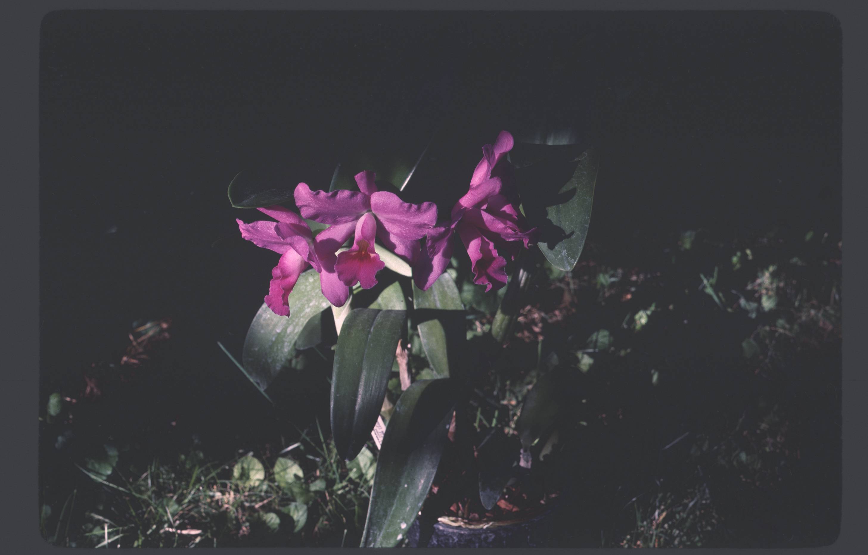 raw0010.jpg