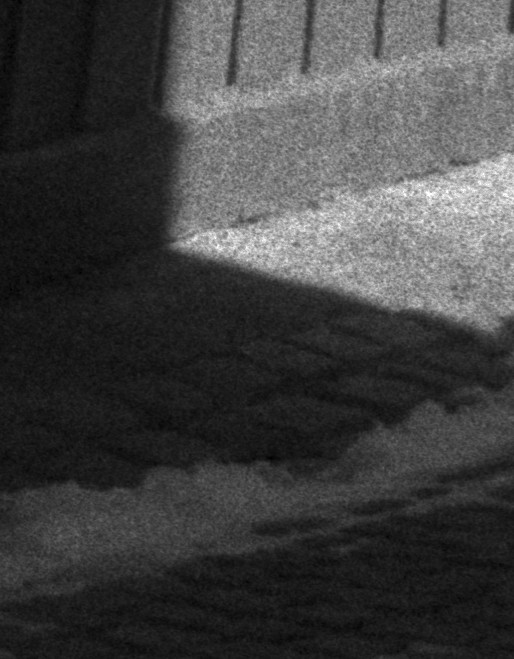 raw0011_detail.jpg