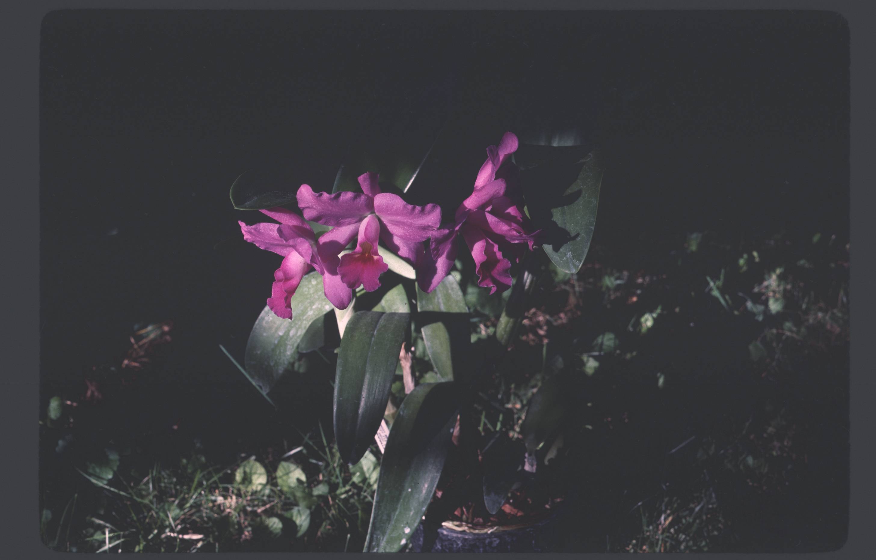 raw0012.jpg