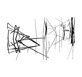 reeds.jpg