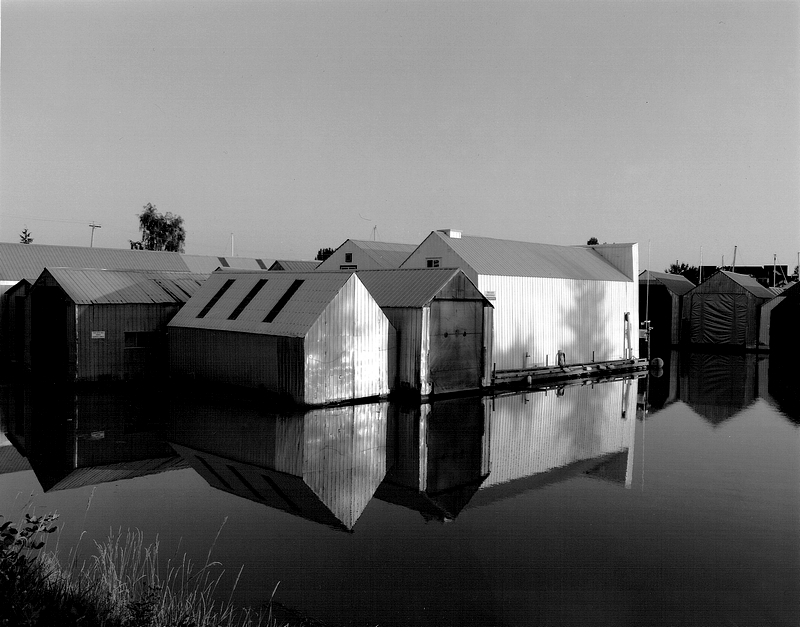 reflections 1b-res 800.jpg