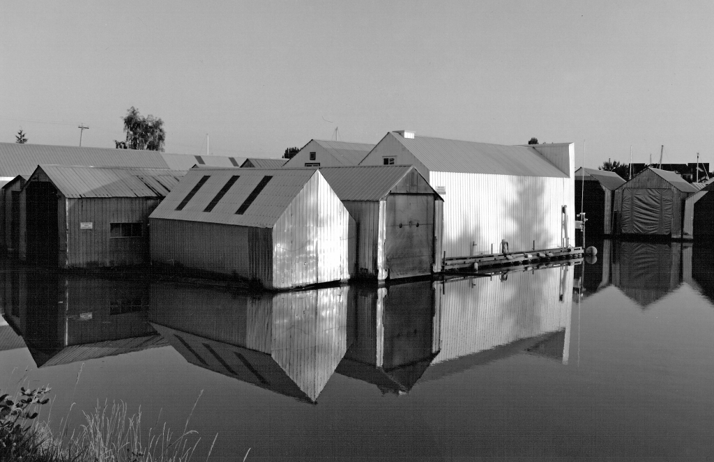 Reflections.jpg