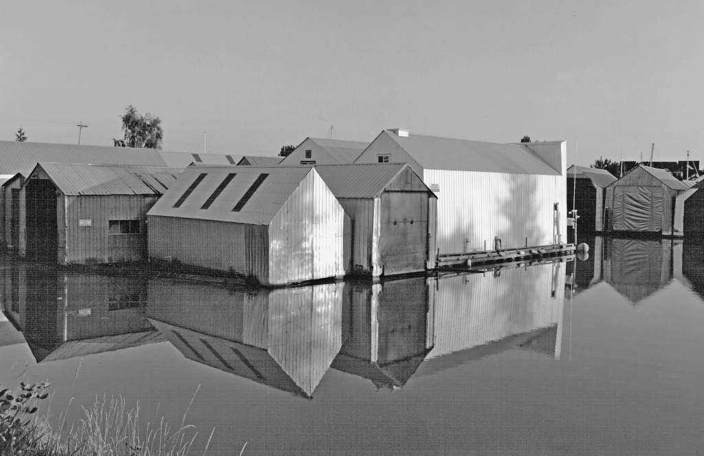 Reflections - light.jpg