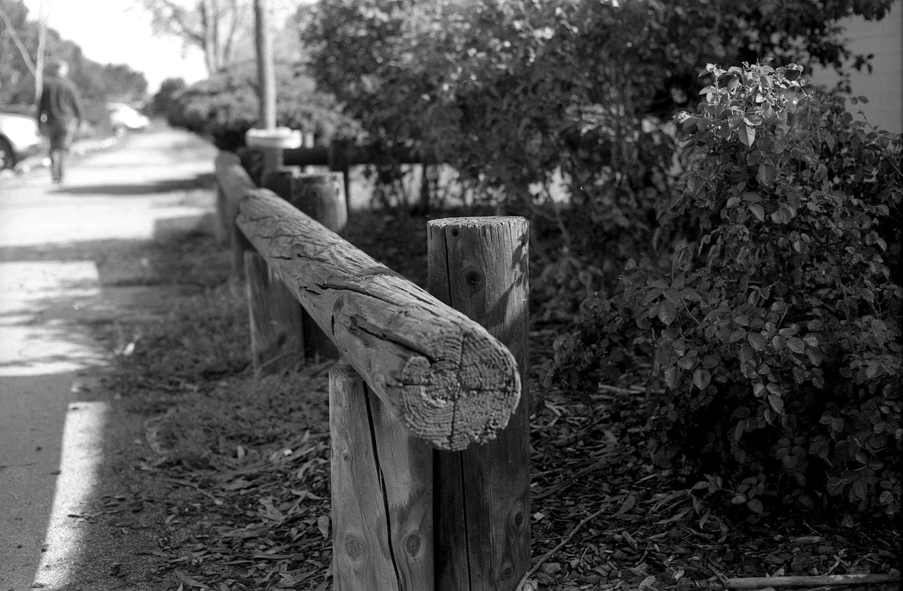 Retina IIIc Delta 100 HC110 post.jpg