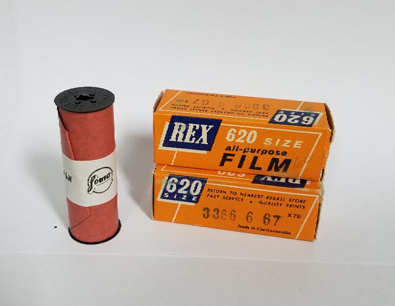 Rex1.jpg