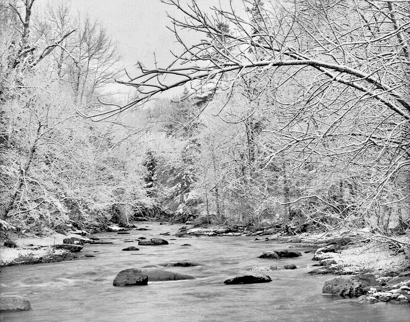 River, Hampden 3a.jpg