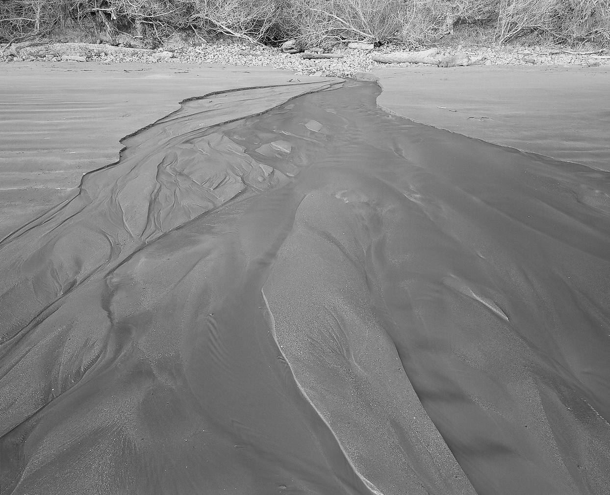 Rivulet To The Sea.jpg