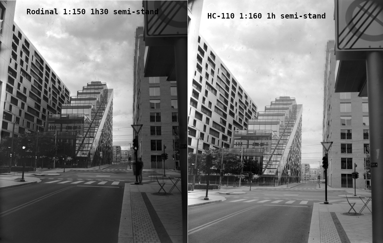 rodinal_vs_HC-110.jpg