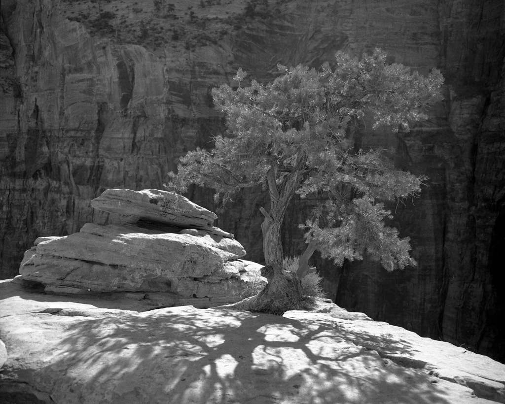 Rollei IR004.jpg