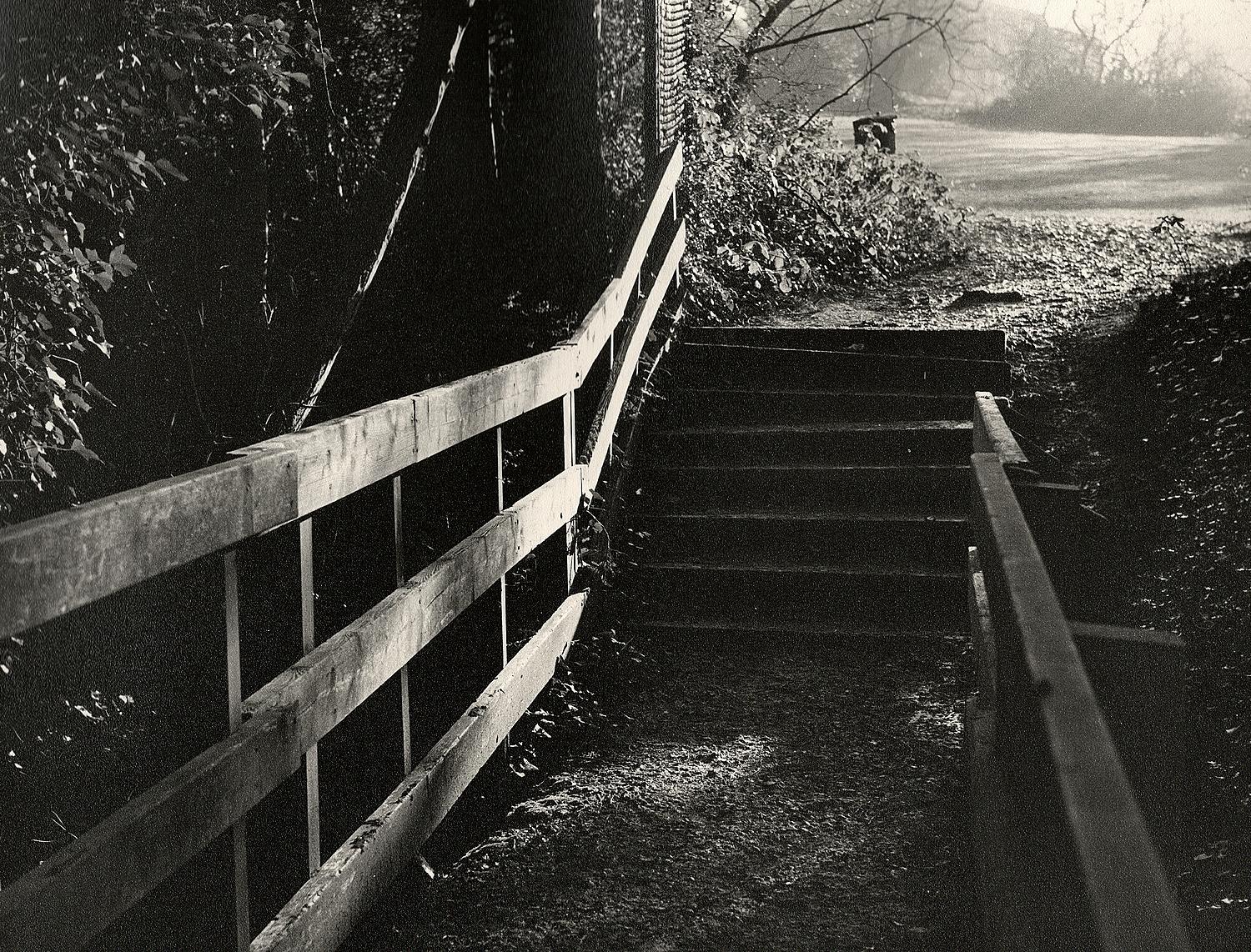 Rollei T Neopan 400 01.jpg