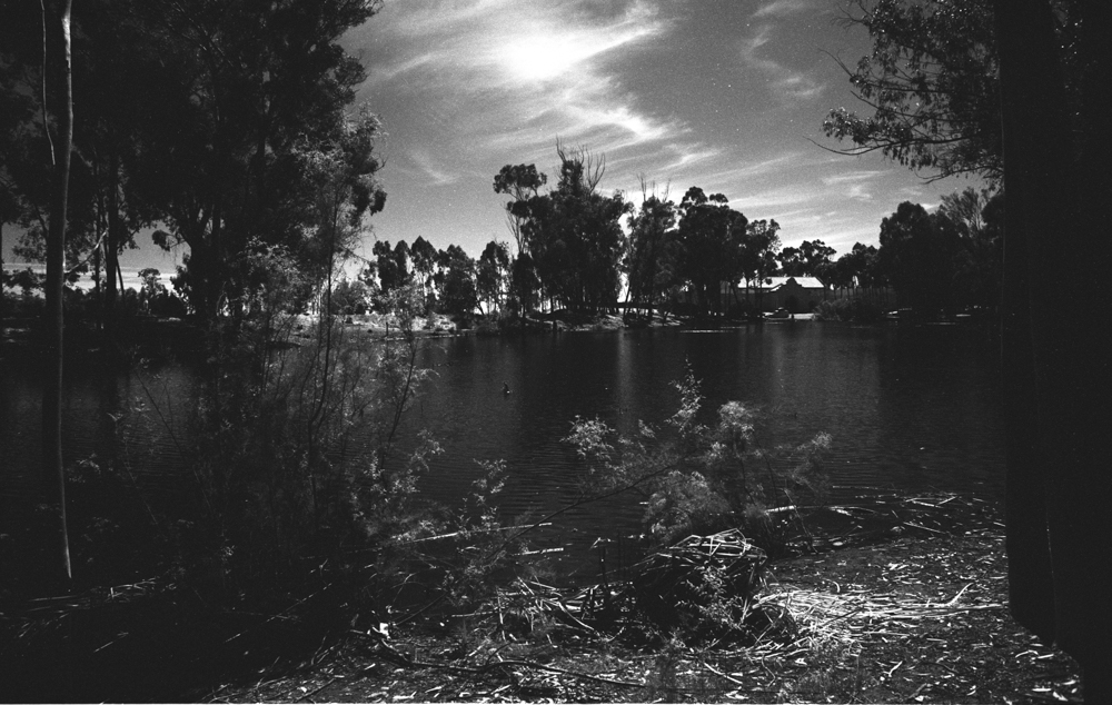 Rollei80s 004.JPG