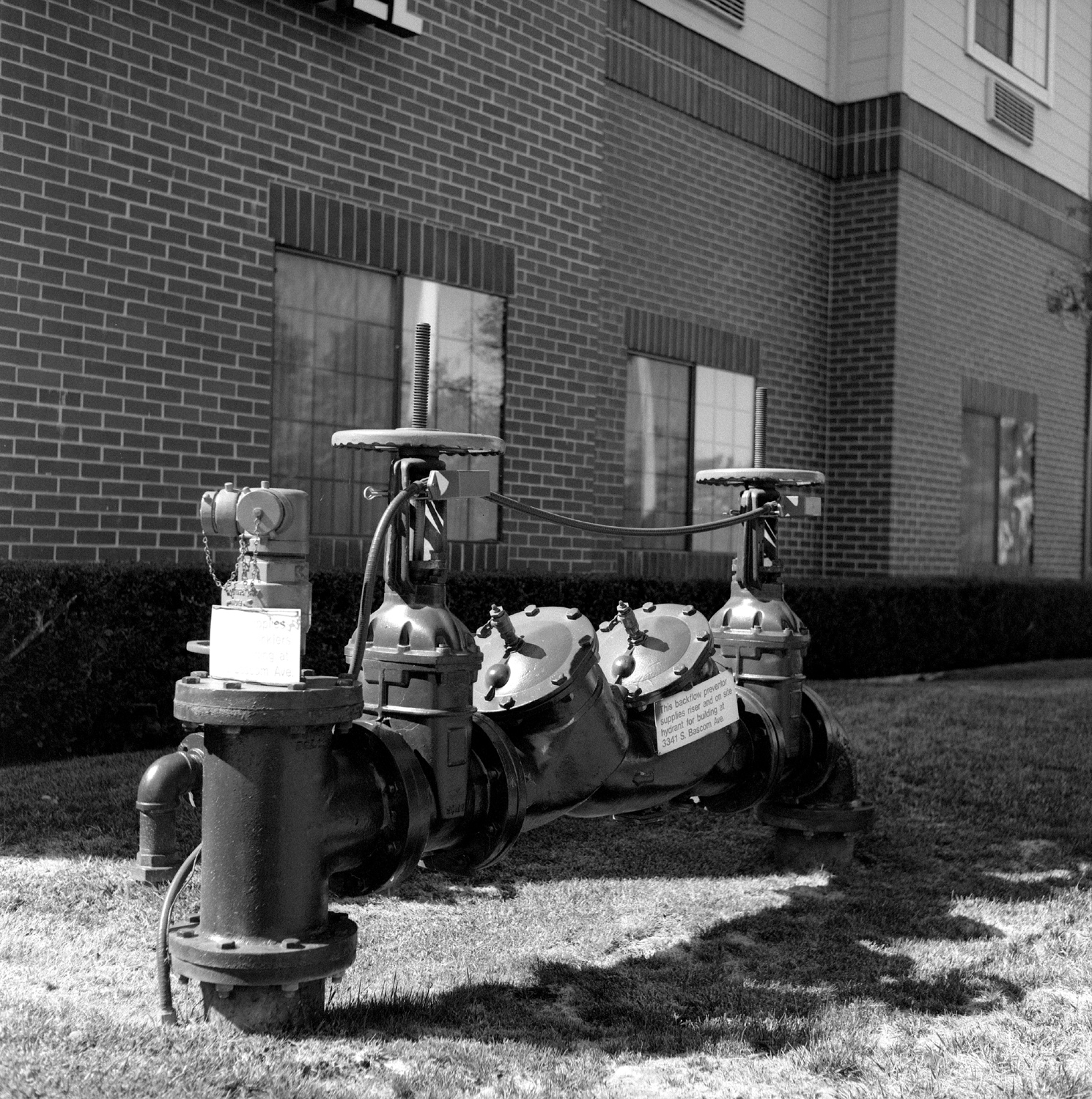 Rolleiflex 149 Bergger Pancro400 HC110 pump stand.jpg