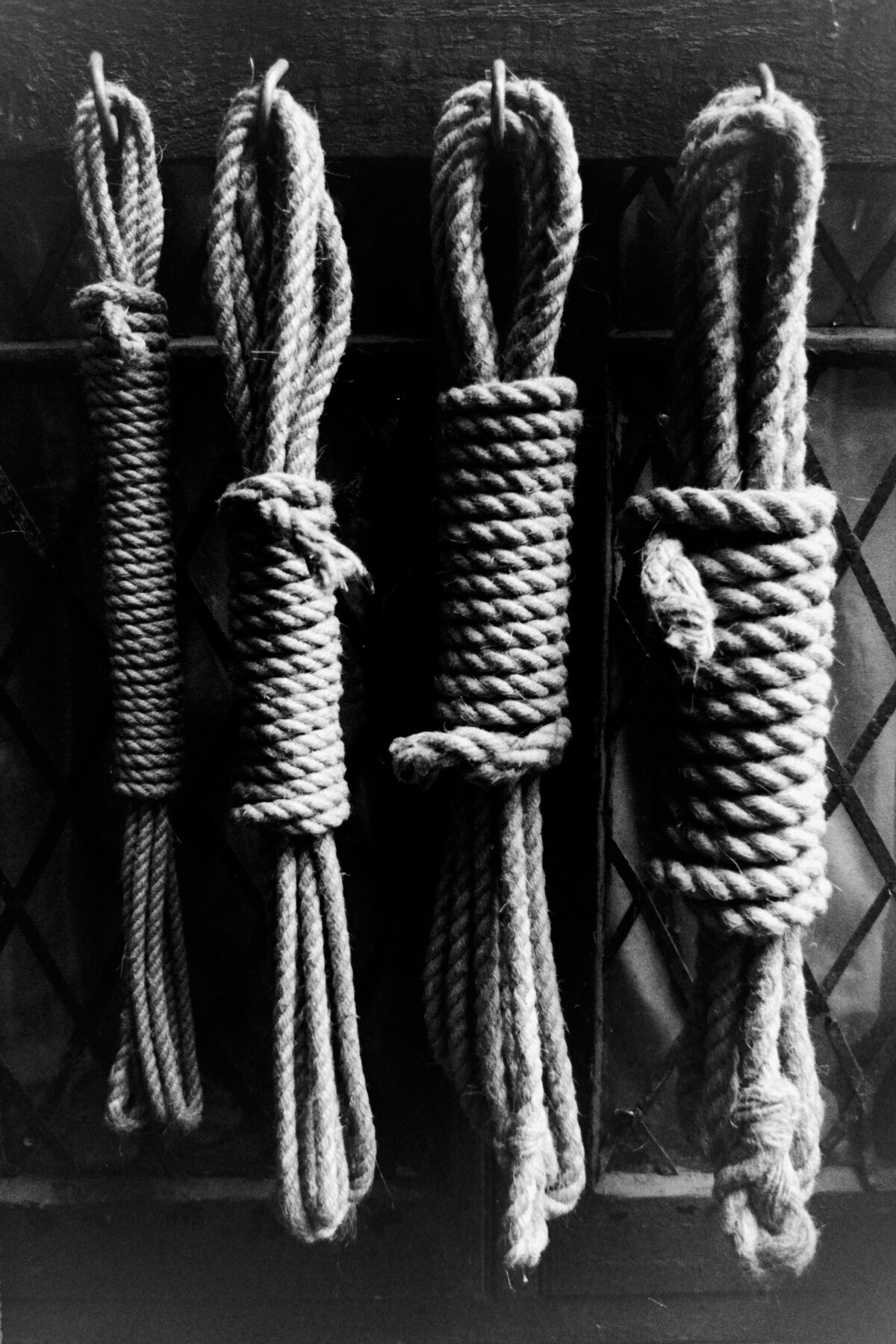 ropes.jpg