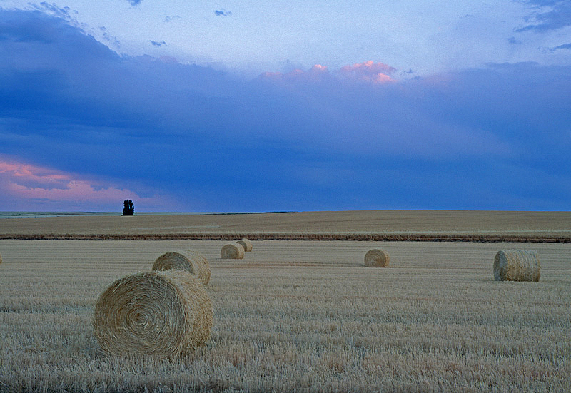 Round Bales.jpg