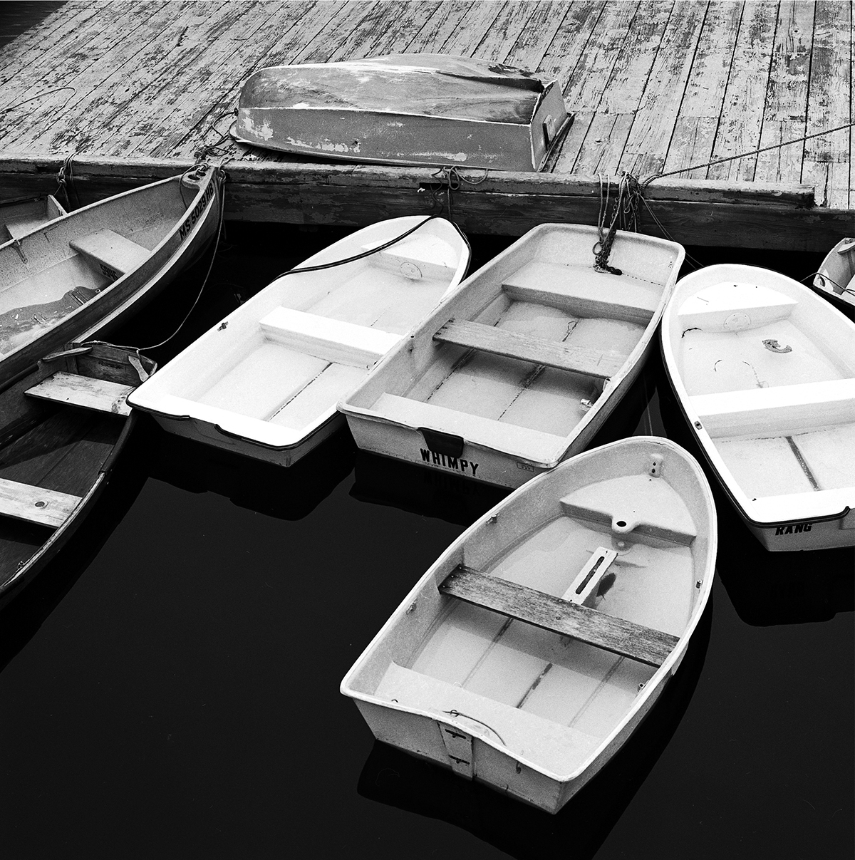 row-boats.jpg