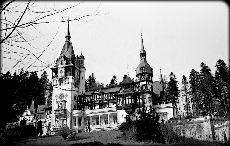 Royal Castle - Rollei ATP 1.1.jpg