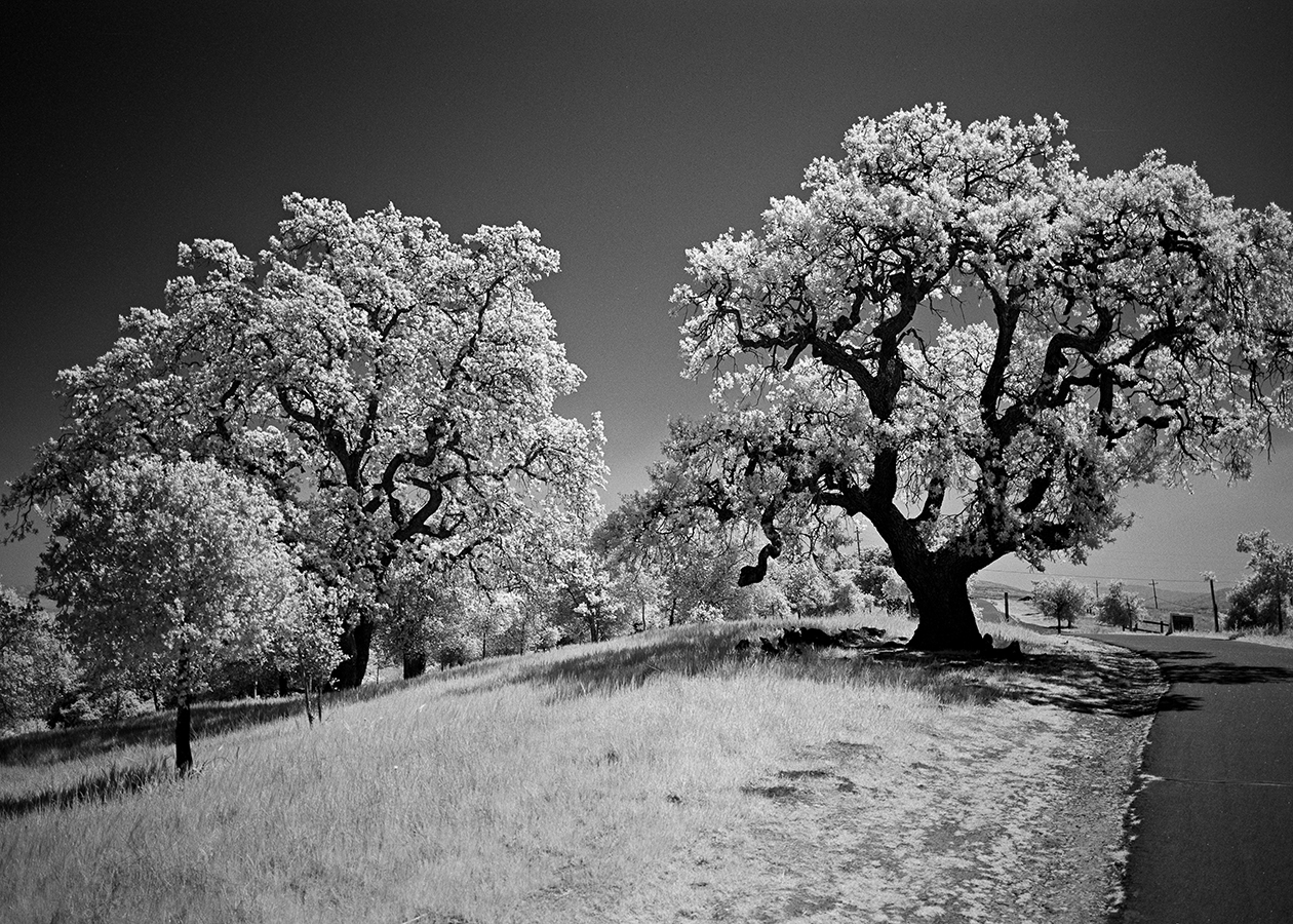 rr80IR2021-03-31-0007.jpg