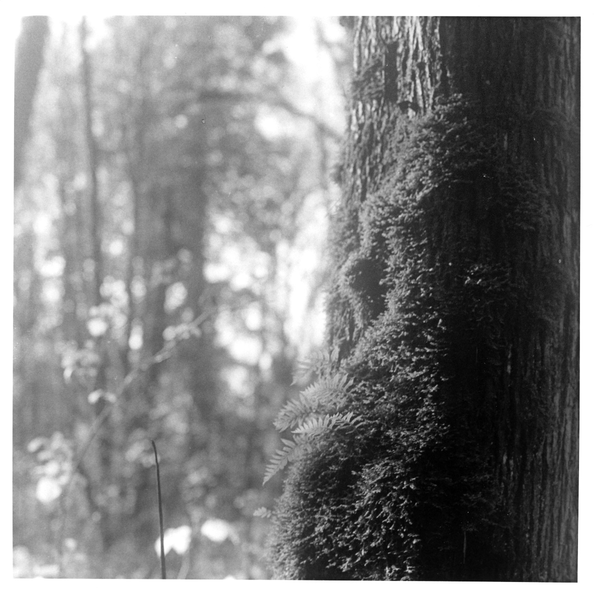 rvna 20251108 frame006 crop print scaled.jpg