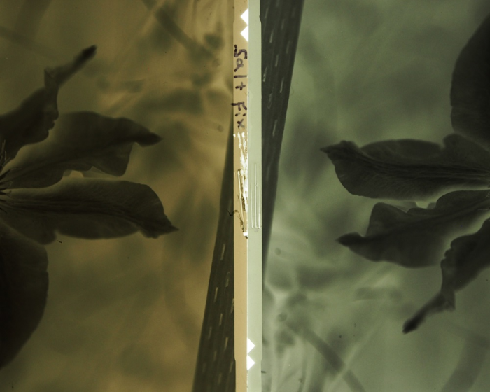 salt - normal fix.png