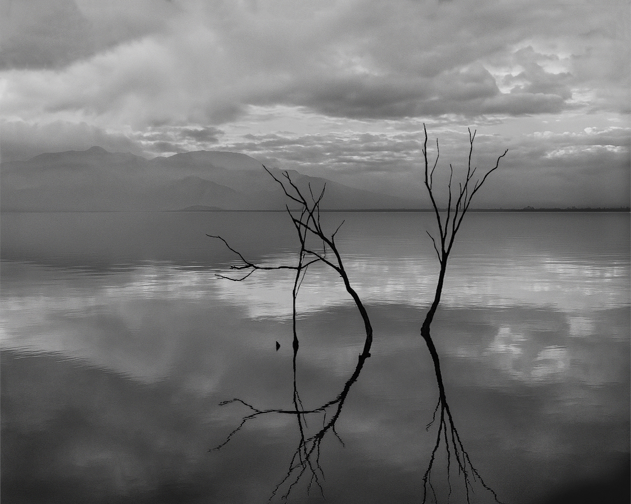 Salton Sea 1g .jpg