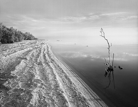 Salton Sea 6 3.jpg