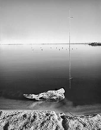 Salton Sea, CA 2000 Ba.jpg