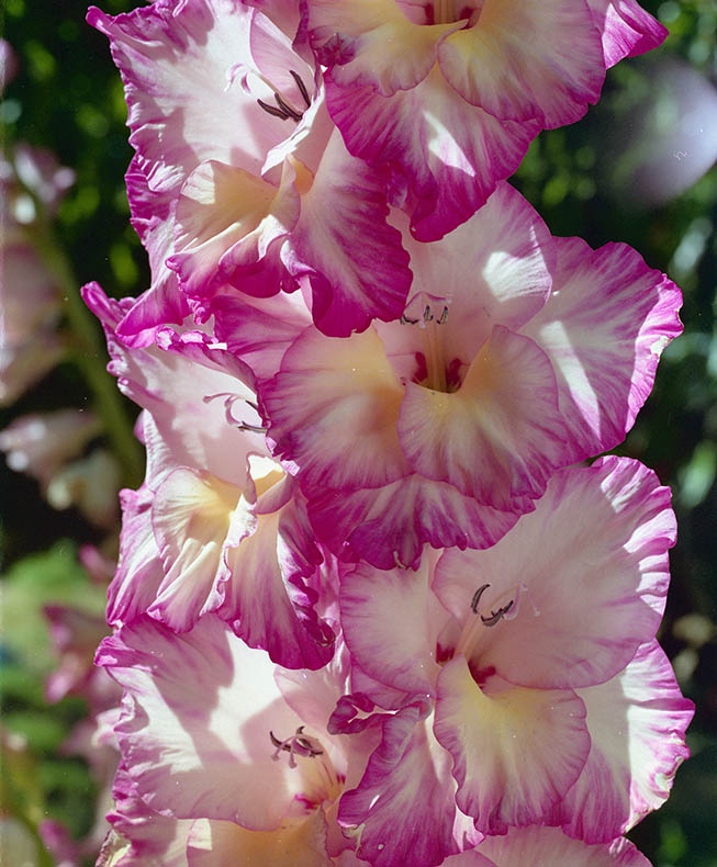 sample 2.jpg