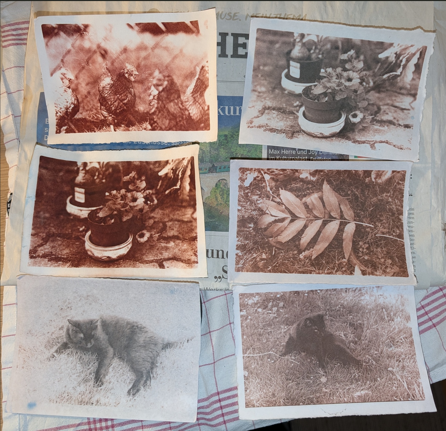 samples.jpg