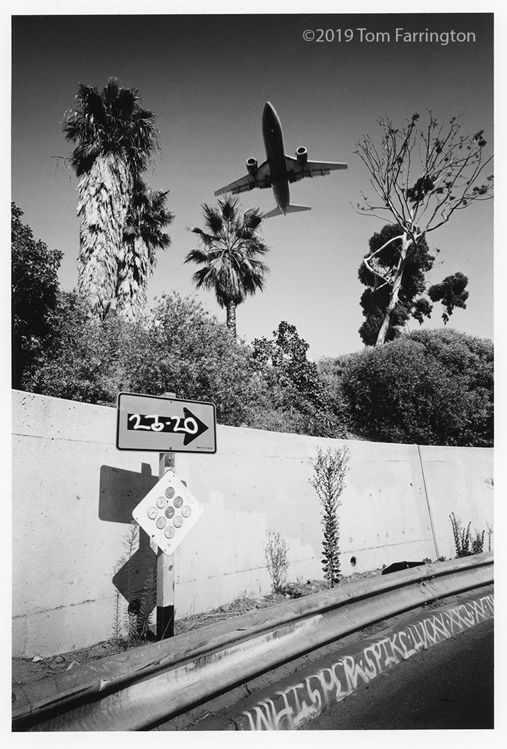 San diego11w.jpg