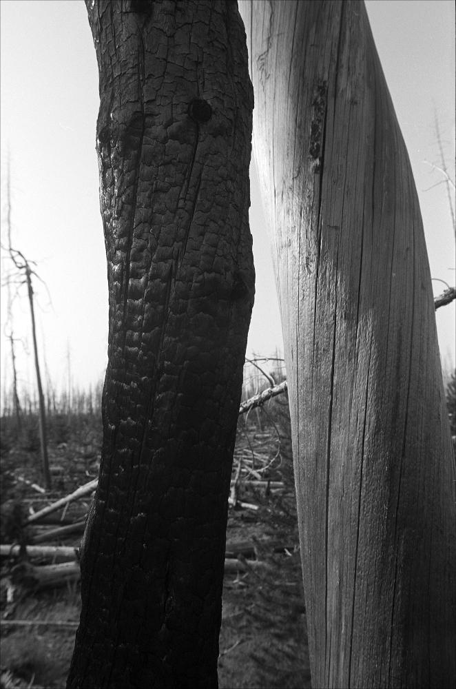 Scan-210814-0003_shrunken.jpg