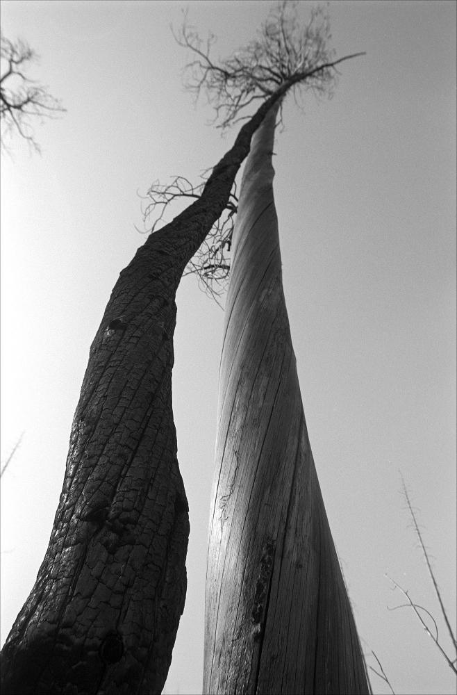Scan-210814-0004_shrunken.jpg