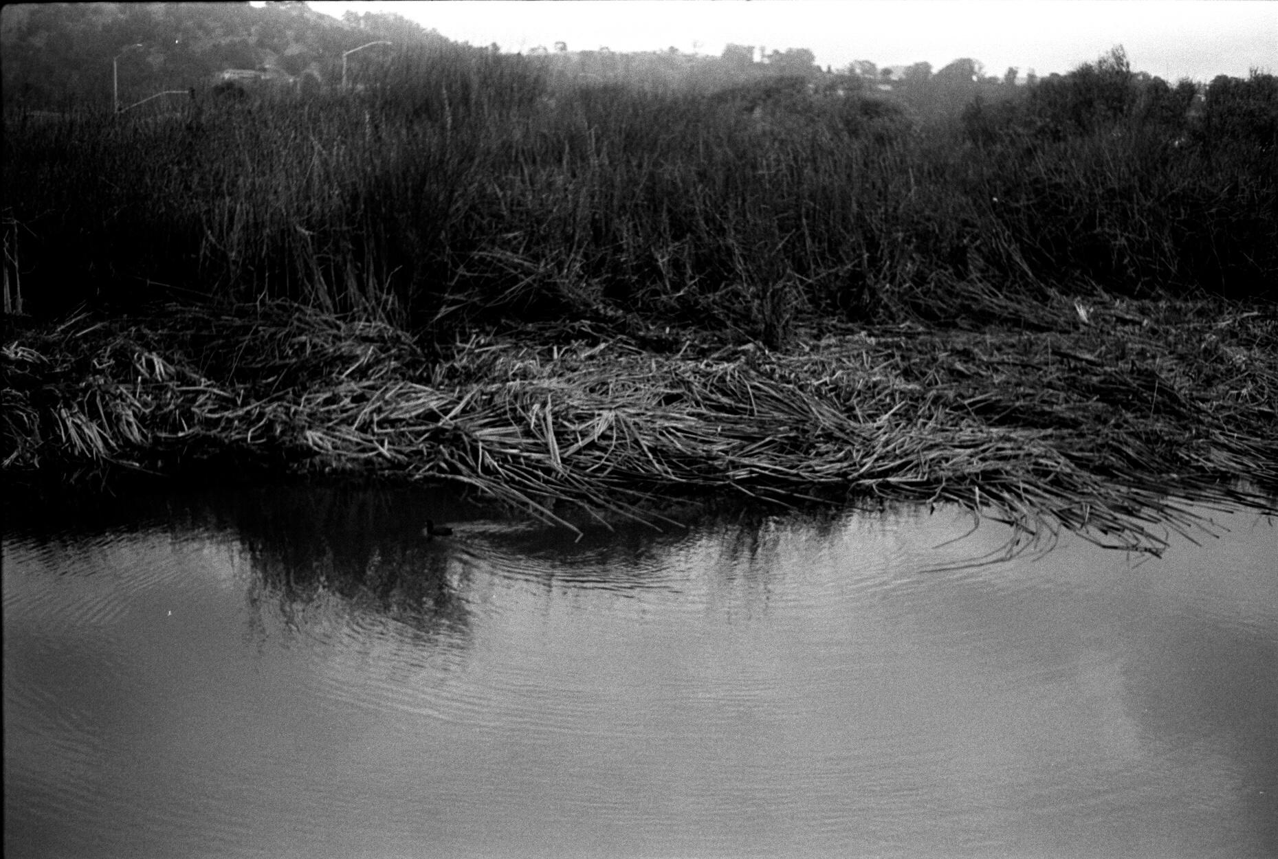 Scan-250522-0065.jpeg