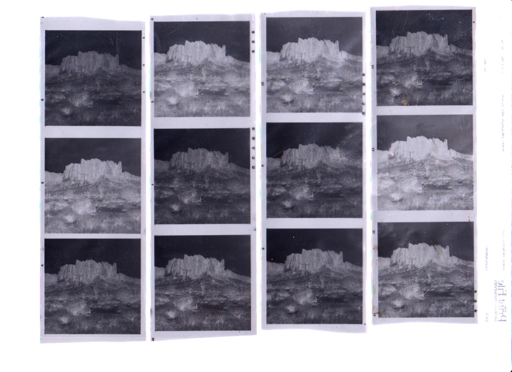 scan of negatives  .jpg